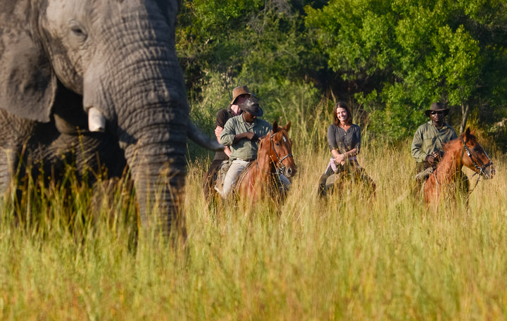 Macatoo Camp - African Horseback Safaris