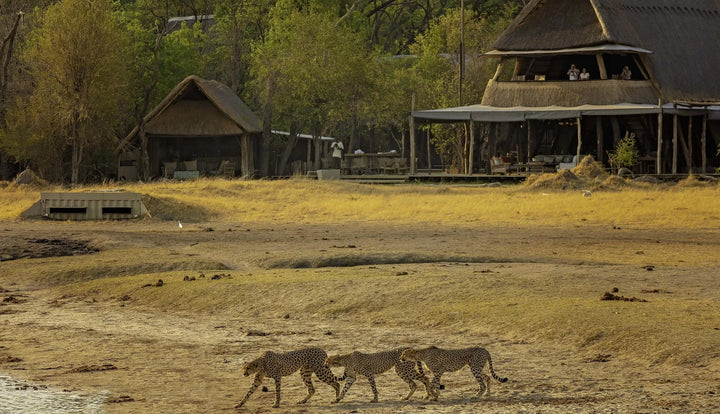 The Hide Safari Camp