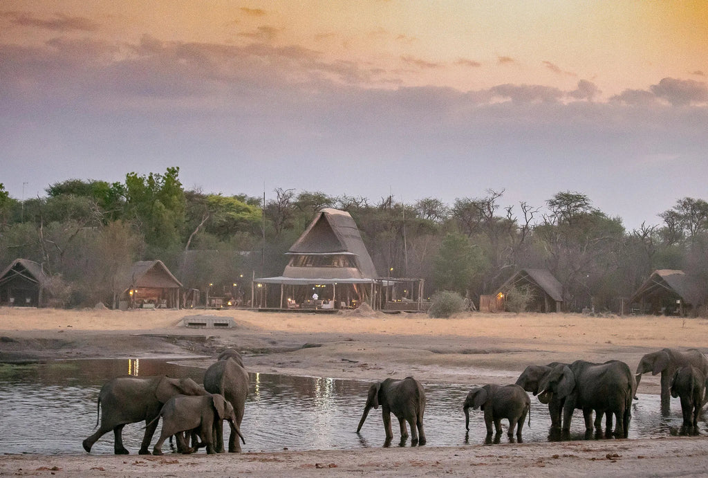 The Hide A Frame and Elephants at The Hide Safari Camp, Hwange National Park, Zimbabwe.
