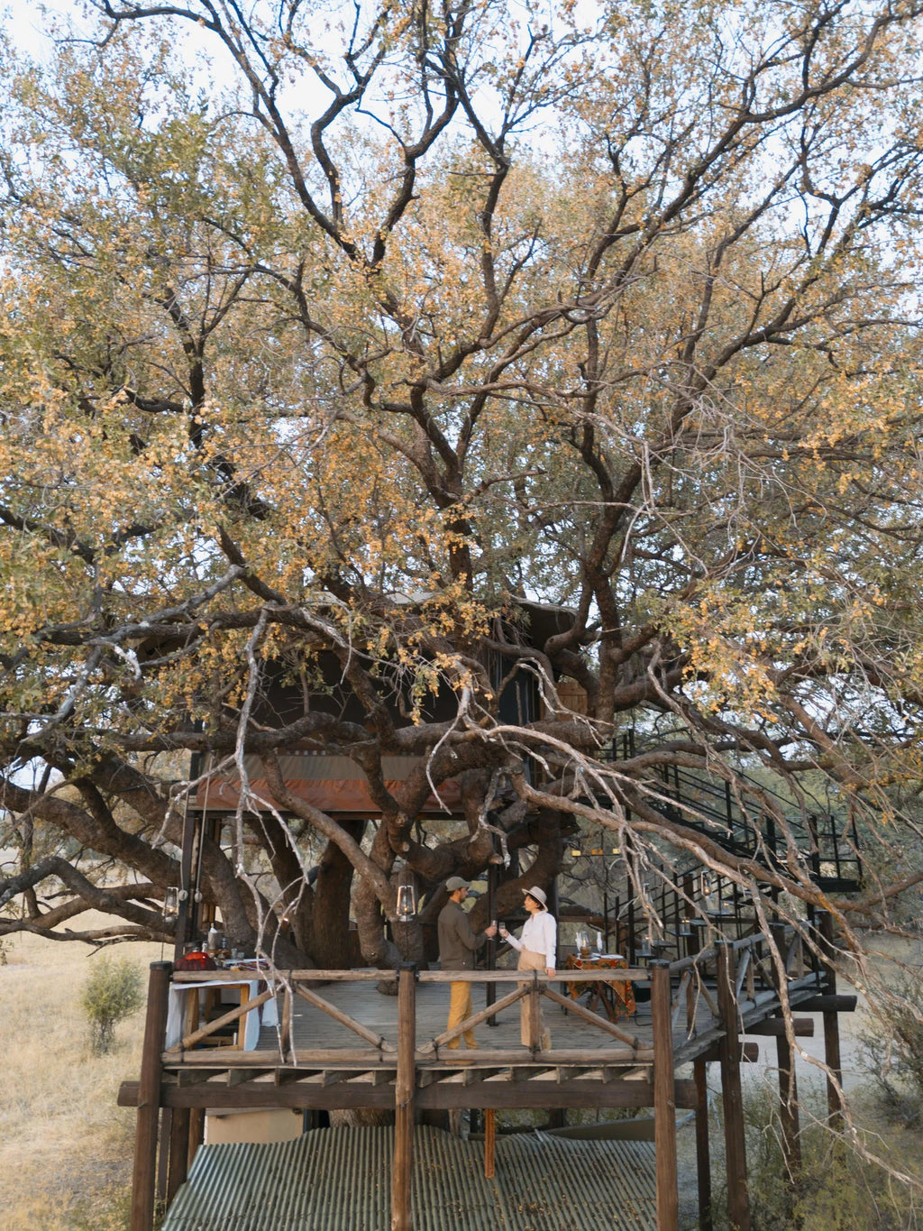 RESIDENT LIONS at The Hide Safari Camp, Hwange National Park, Zimbabwe.