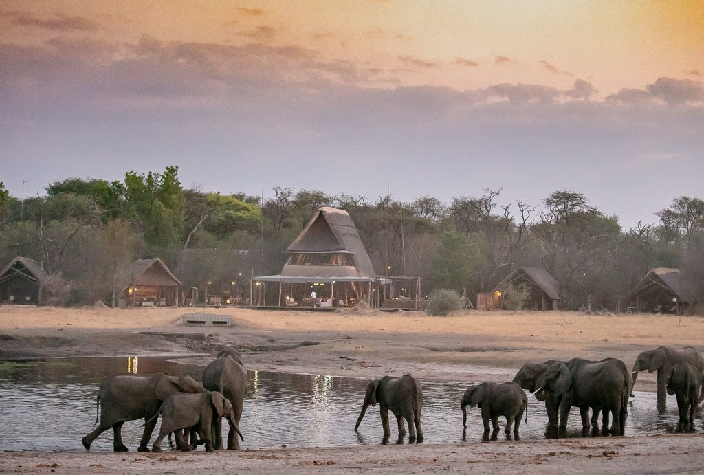 The Hide A Frame and Elephants