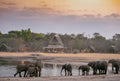 The Hide A Frame and Elephants