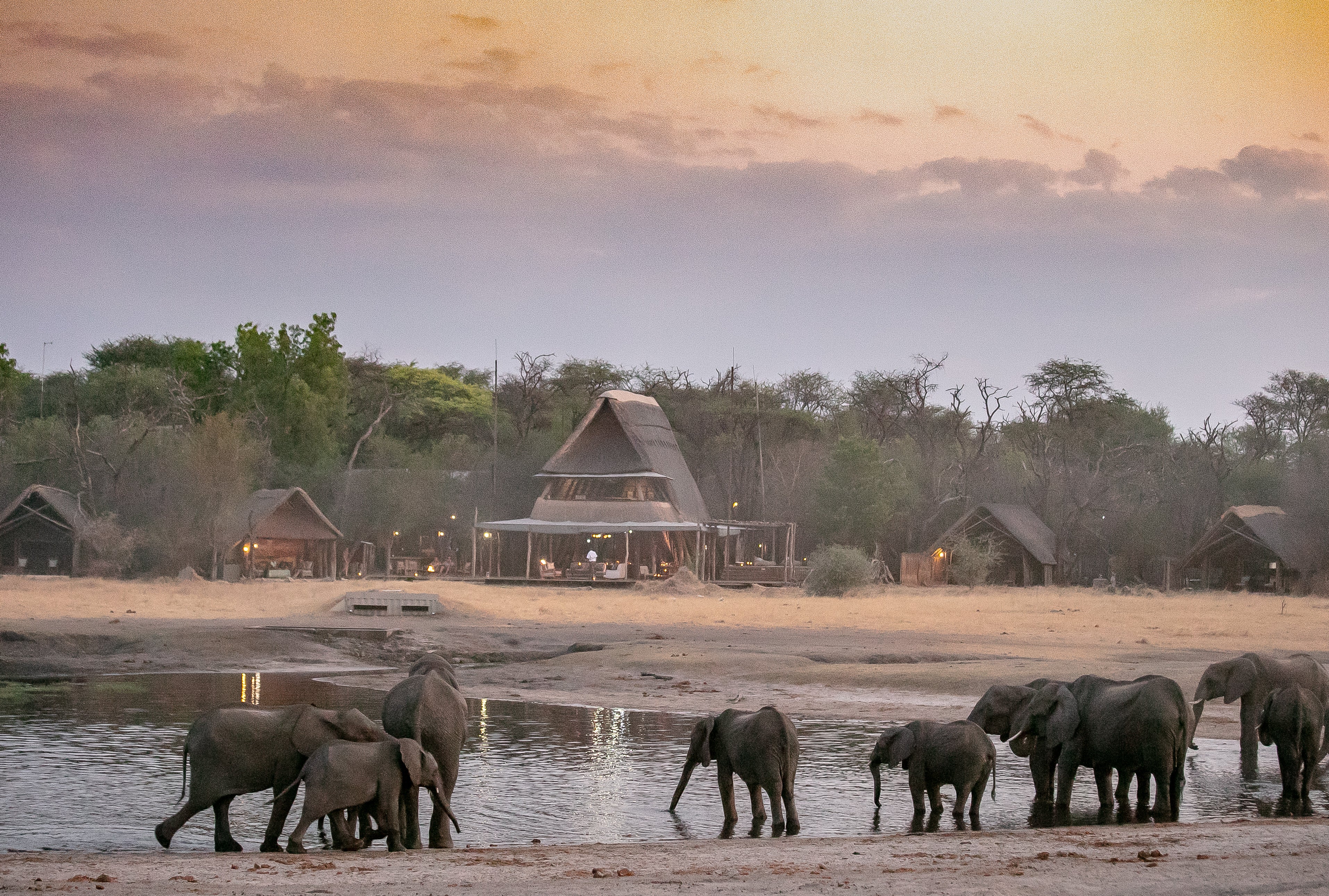 The Hide A Frame and Elephants