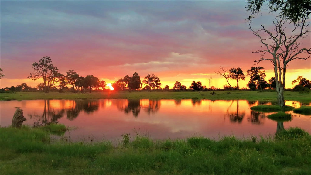 Sunset in Hwange at The Hide Safari Camp, Hwange National Park, Zimbabwe.