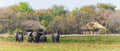 Nanzhila Plains Safari Camp