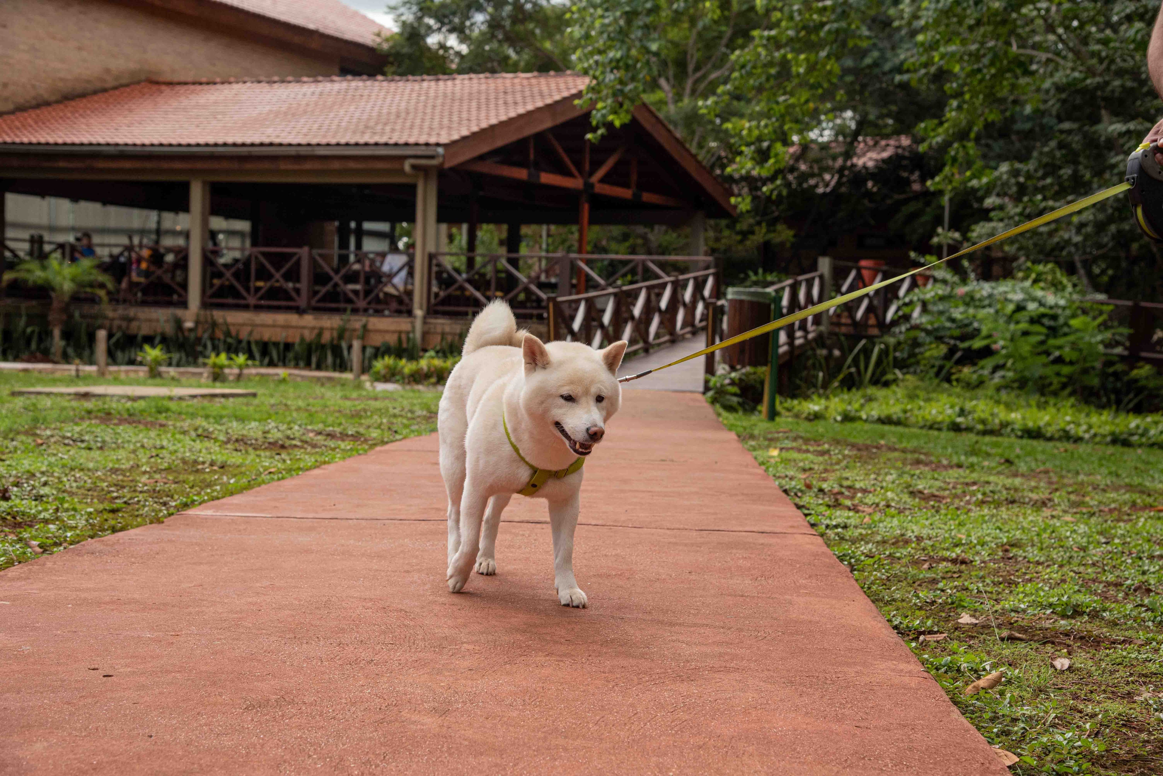 Pet Friendly