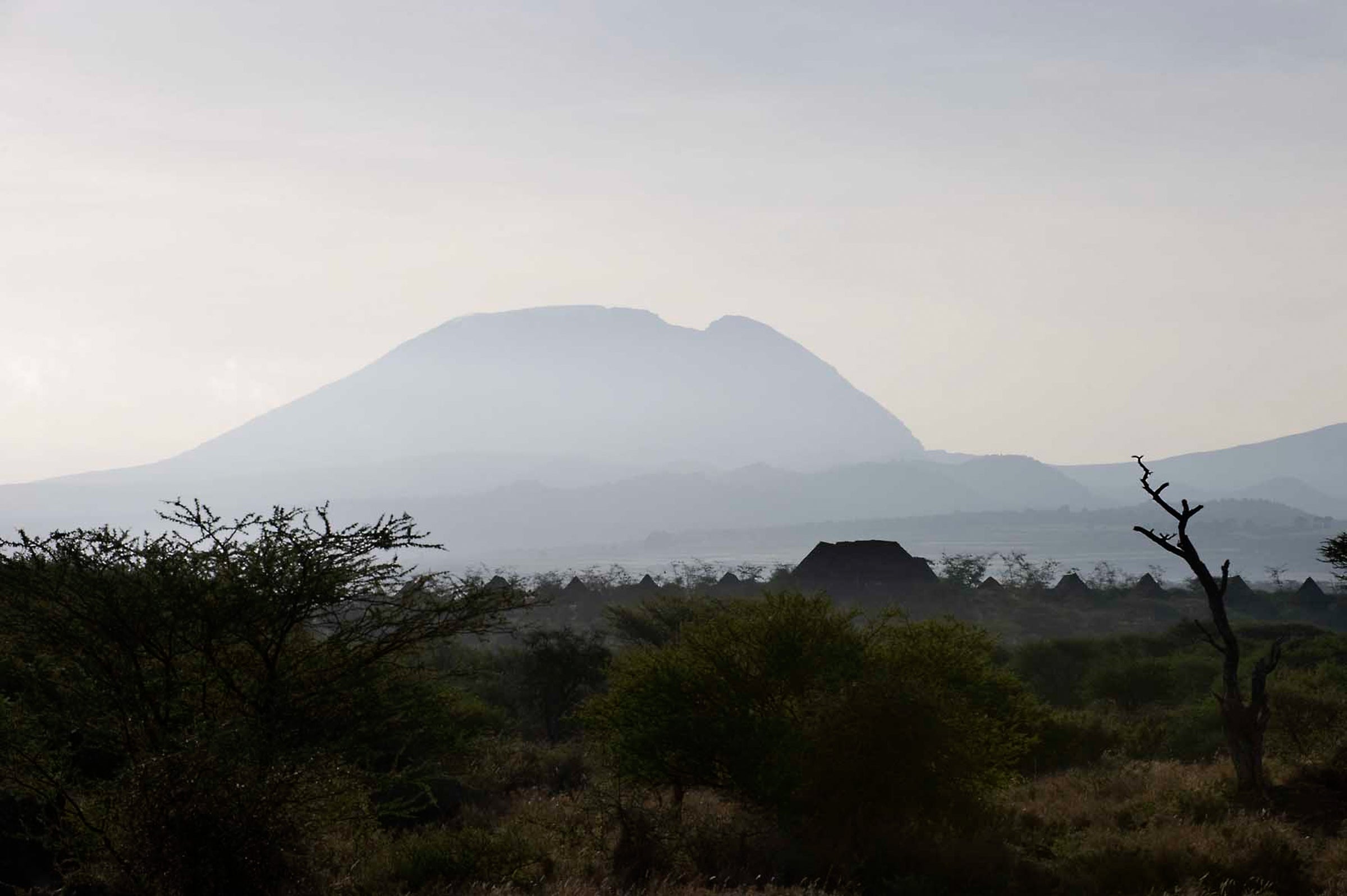 Kambi ya Tembo