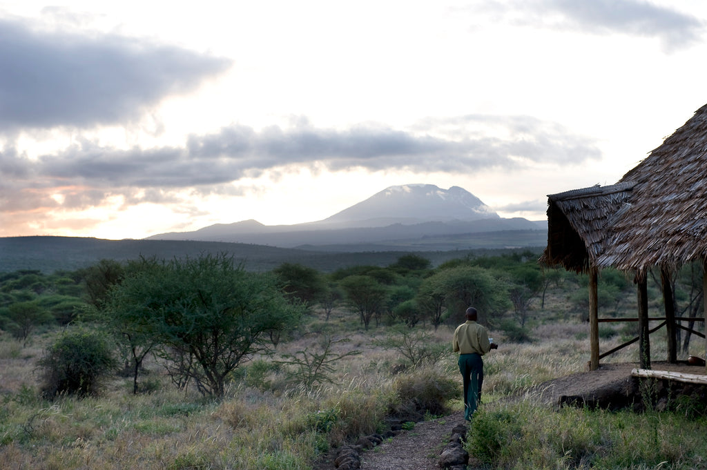 Kambi ya Tembo and Kilimanjaro