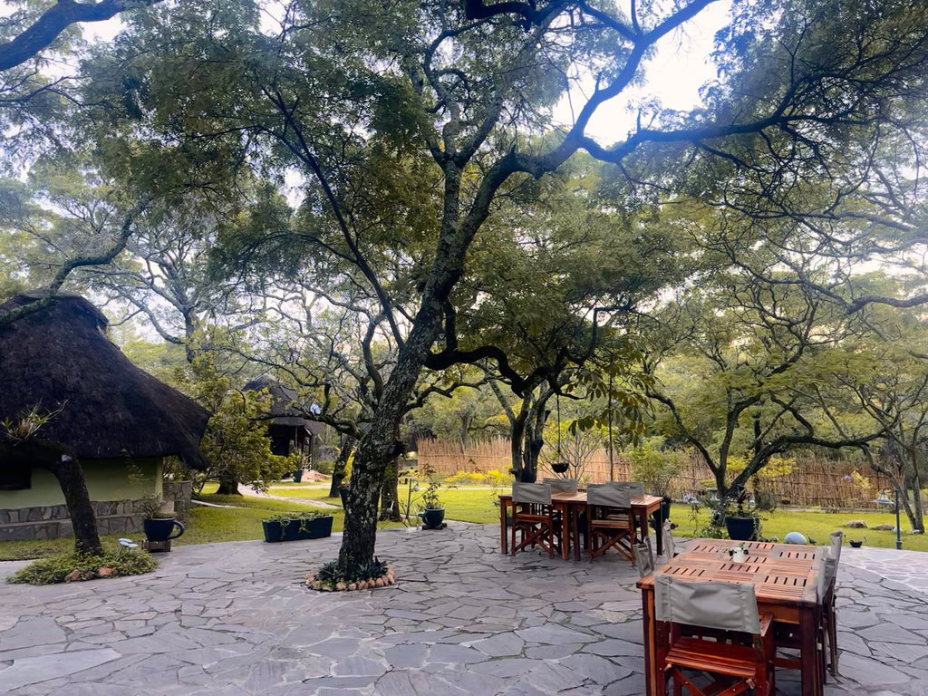 Pioneer Lodge