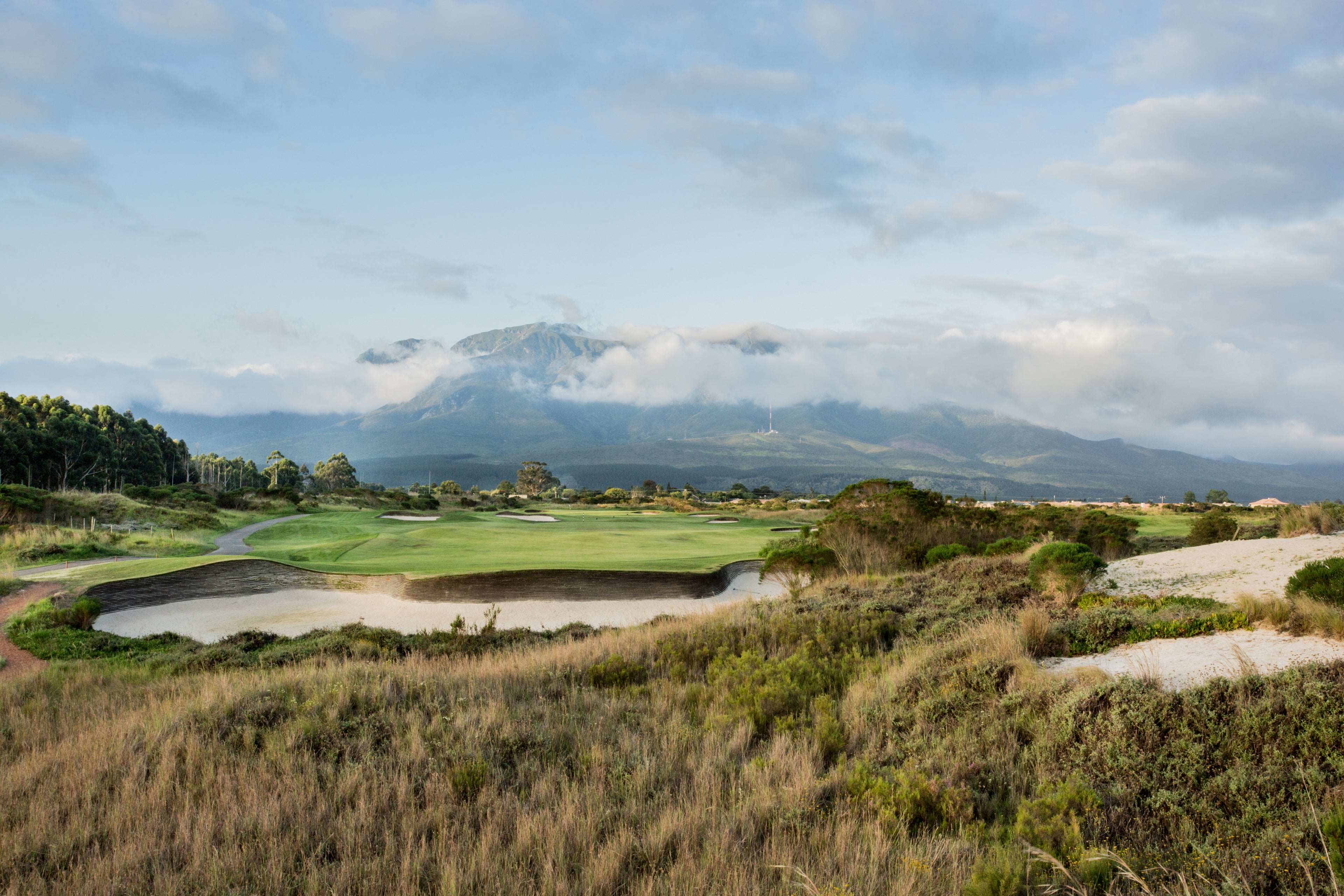 The Links