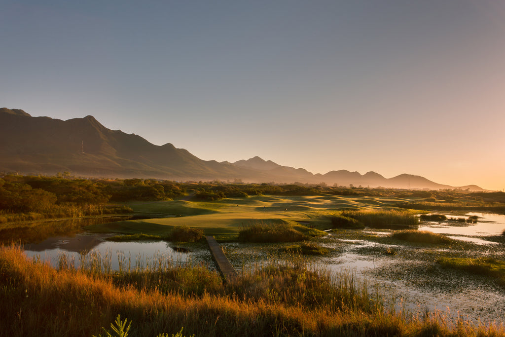 The Links