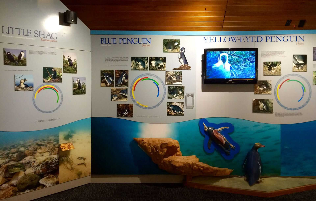 Blue Penguins Pukekura