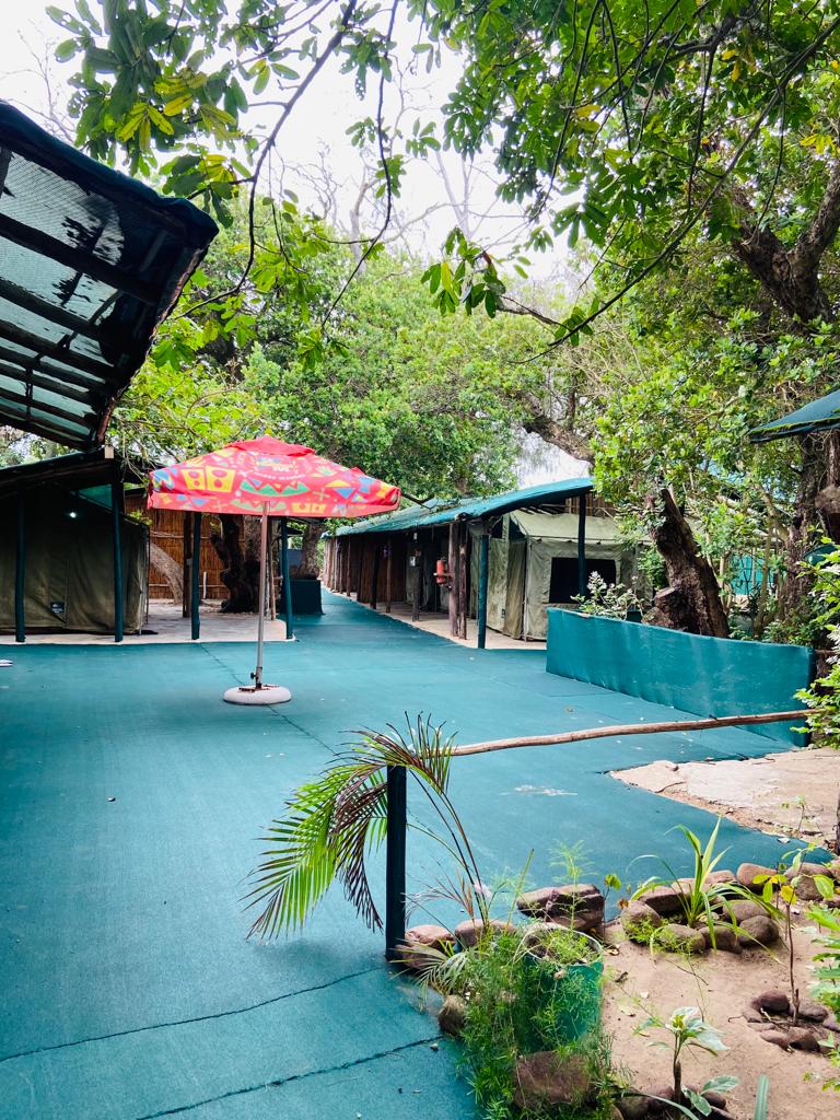 Tent - Beach Side Site