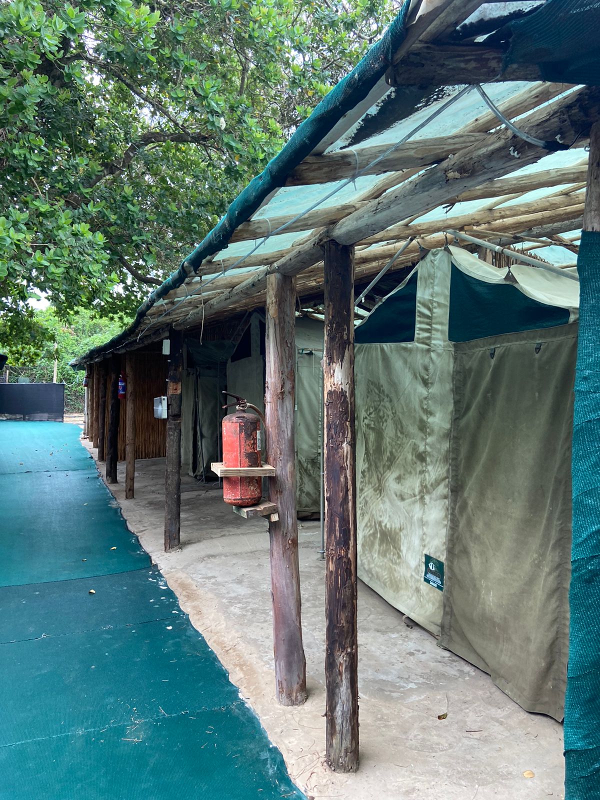 Tent - Beach Side Site