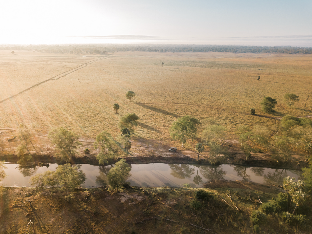 Guided Safari Drives