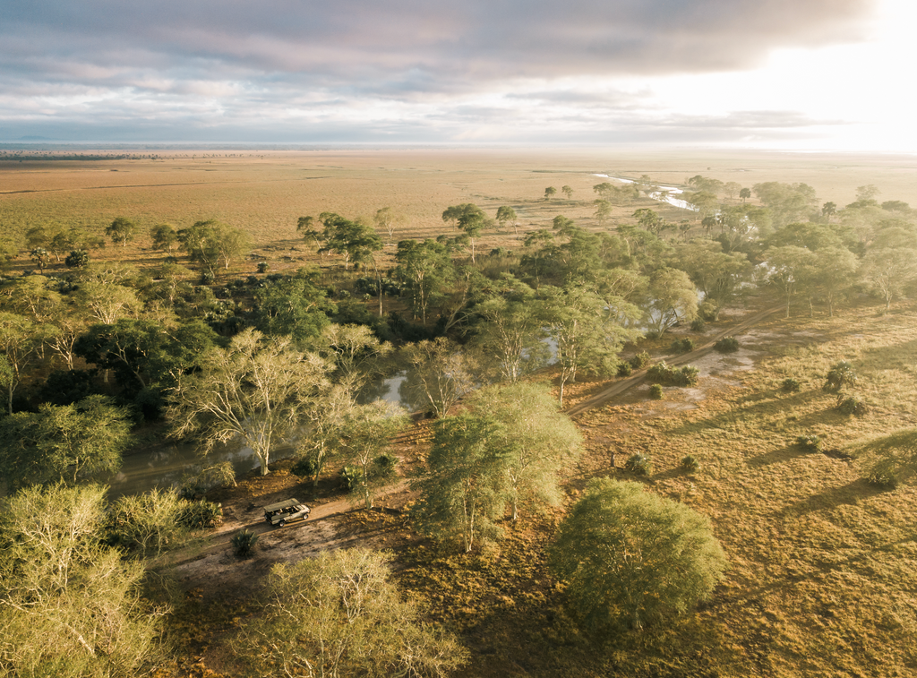 Guided Safari Drives