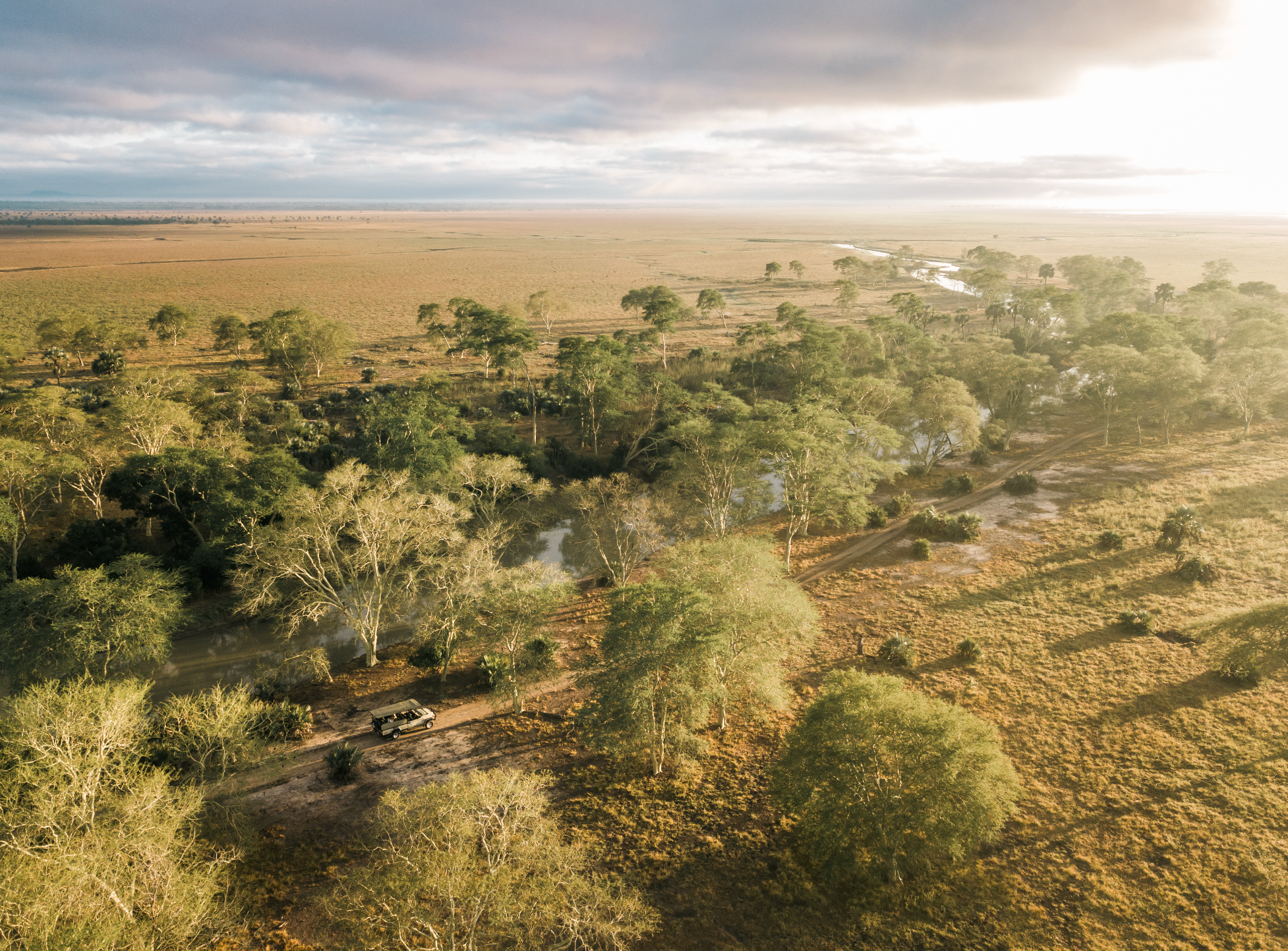 Guided Safari Drives