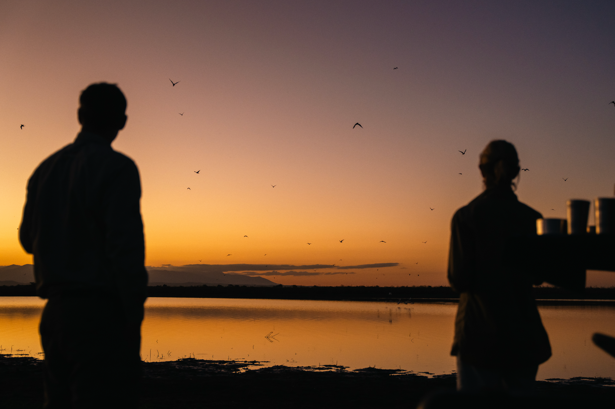Sundowners