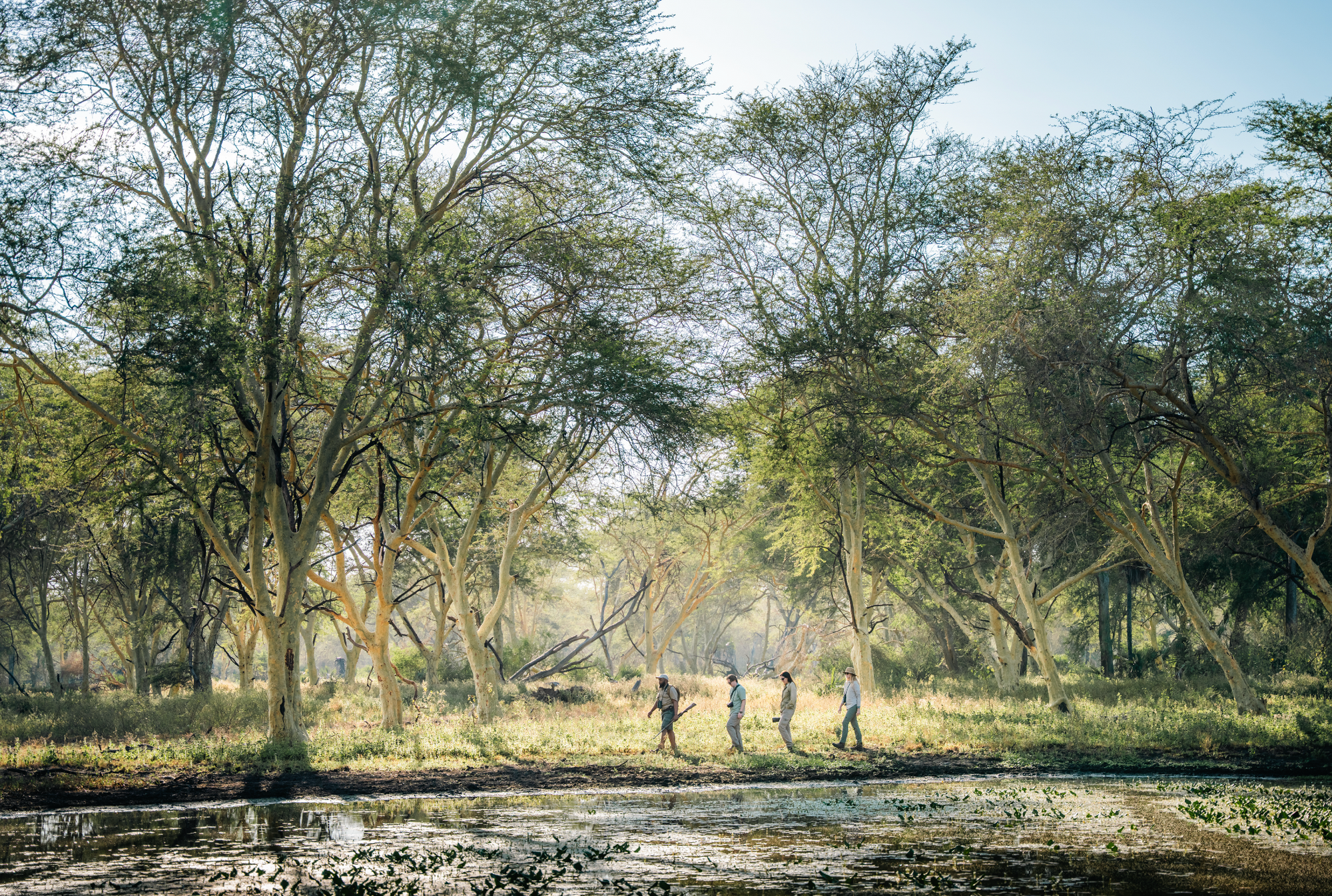Walking Safaris