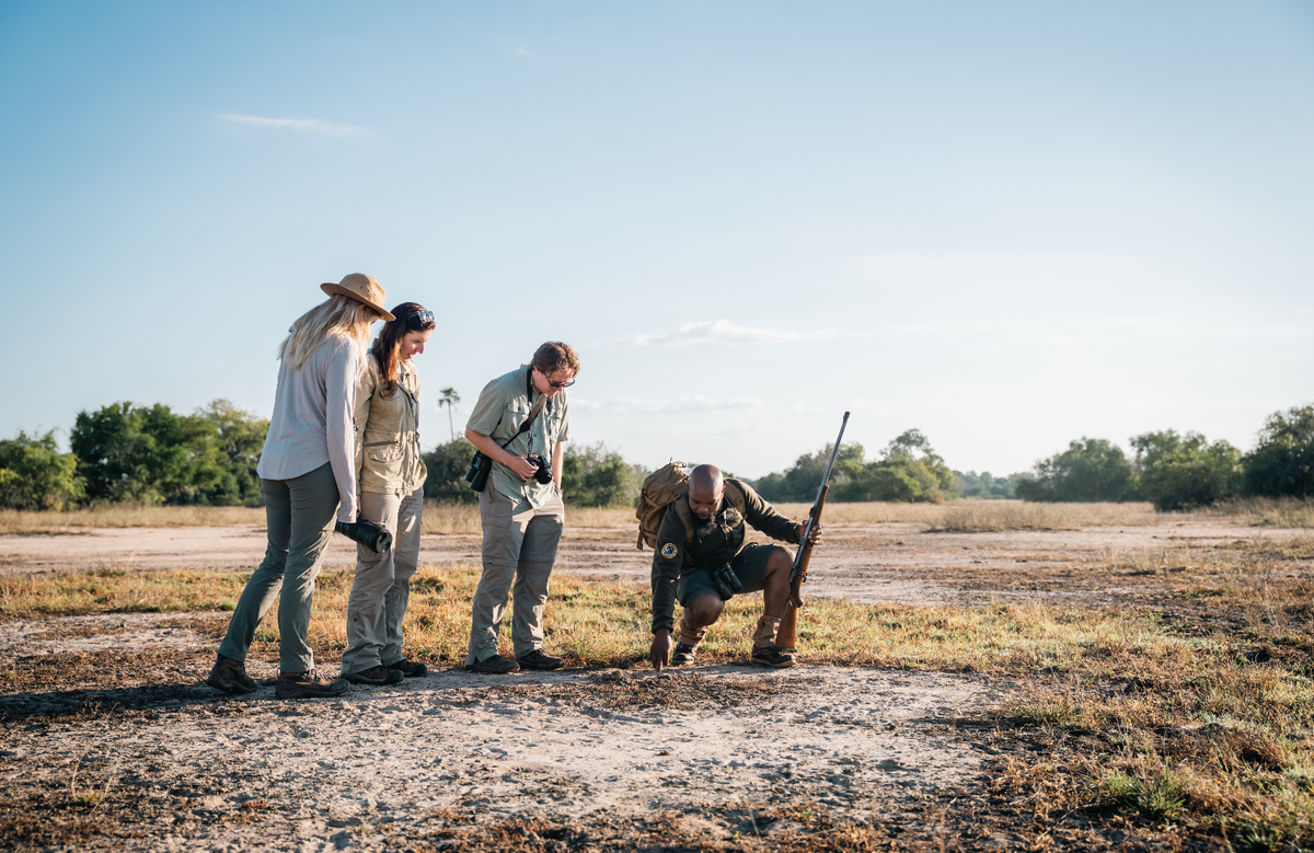 Walking Safaris