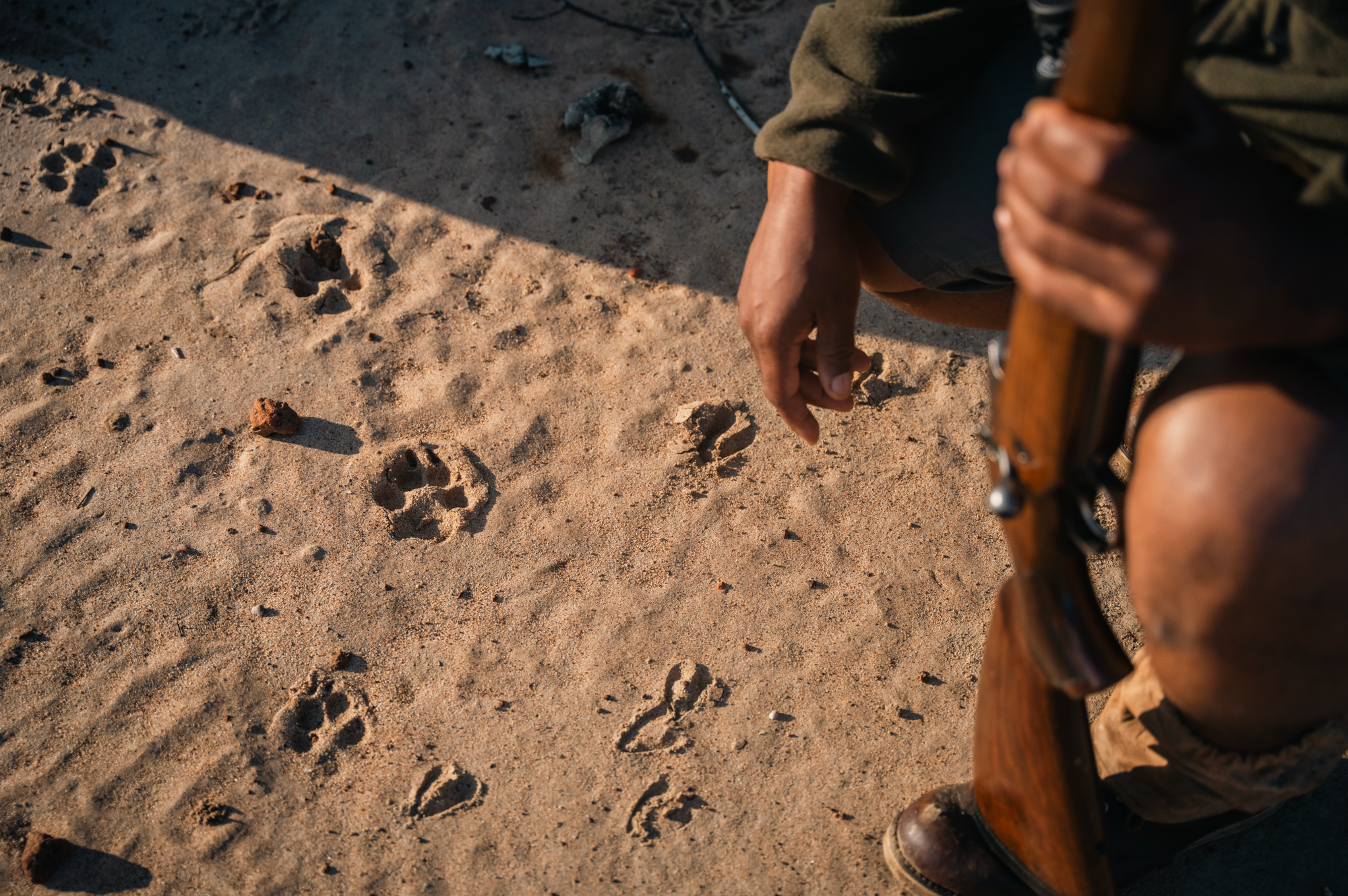 Walking Safaris