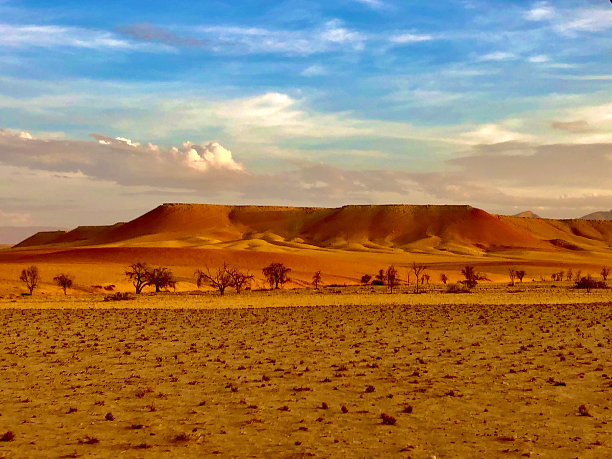Sossus on Foot/Bushman's Desert Camp