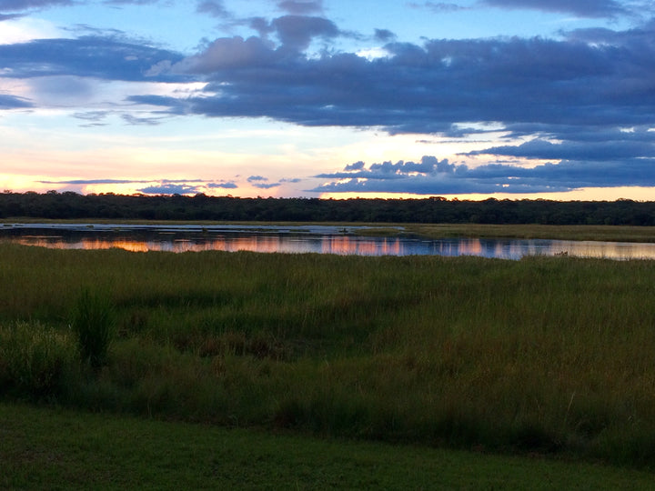 Wasa Lodge