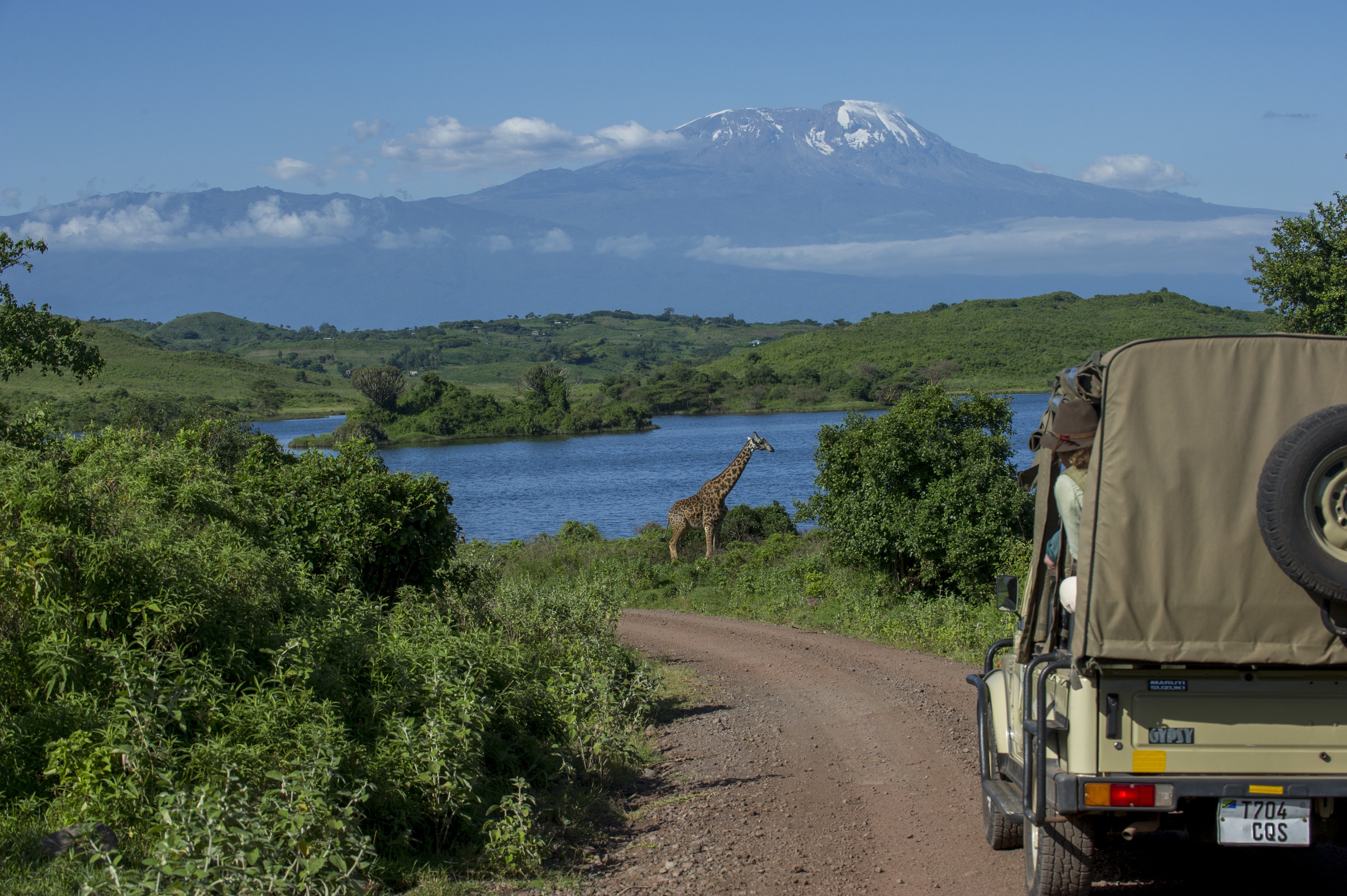 Game Viewing