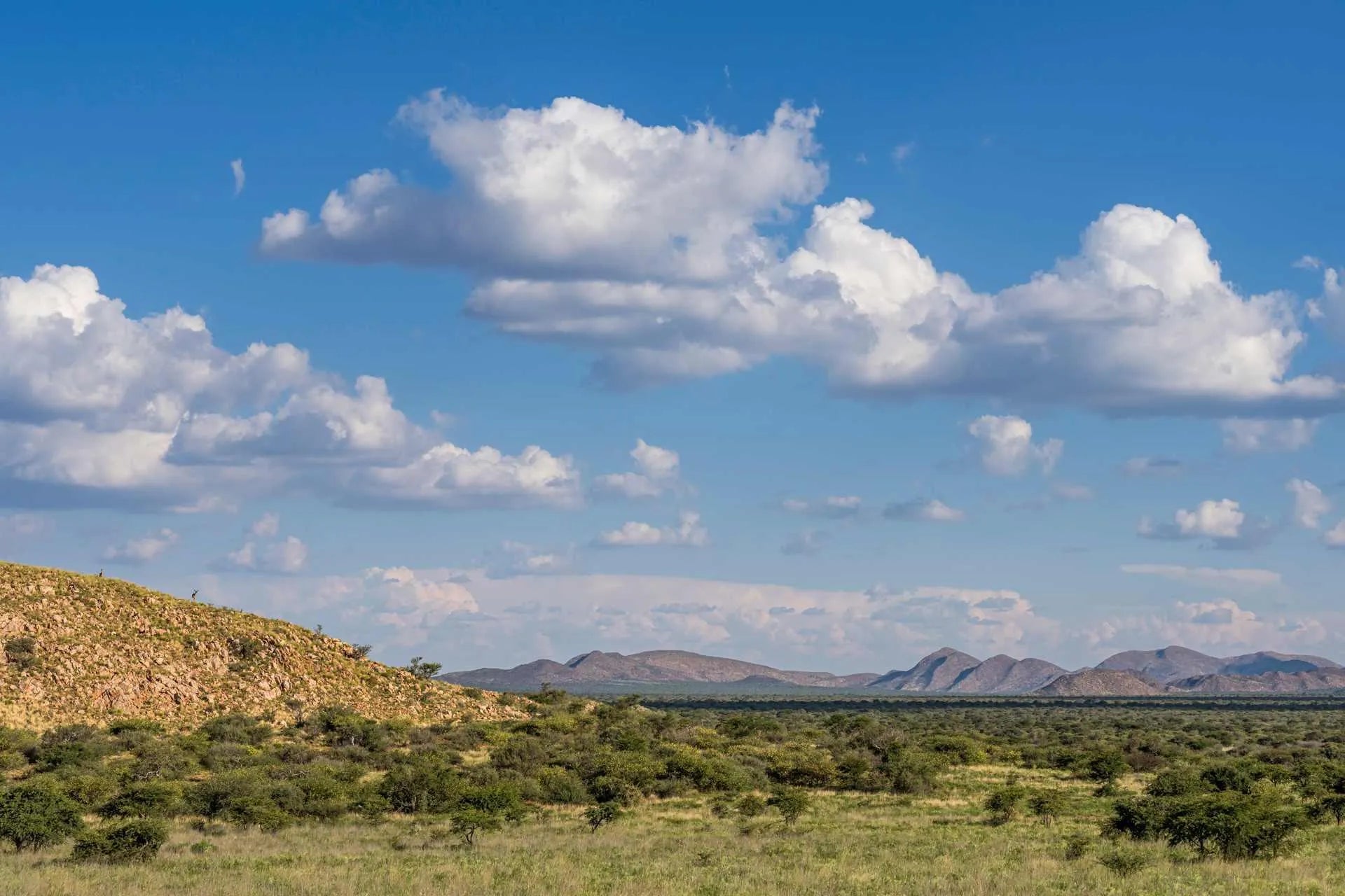Tswalu landscape at Motse, Tswalu, Tswalu, South Africa.