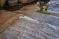 Rock art and Cultural Sites