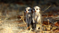 Featured image.