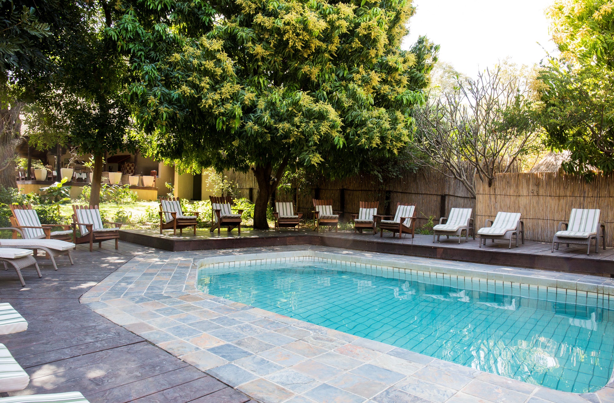 Namushasha River Lodge