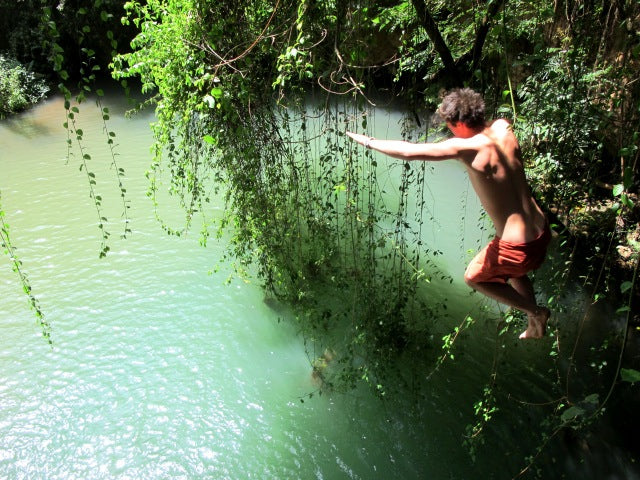 Ngare Ndare Forest Visit