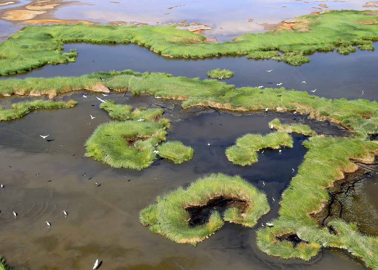 Helicopter Excursions - Northern Kenya