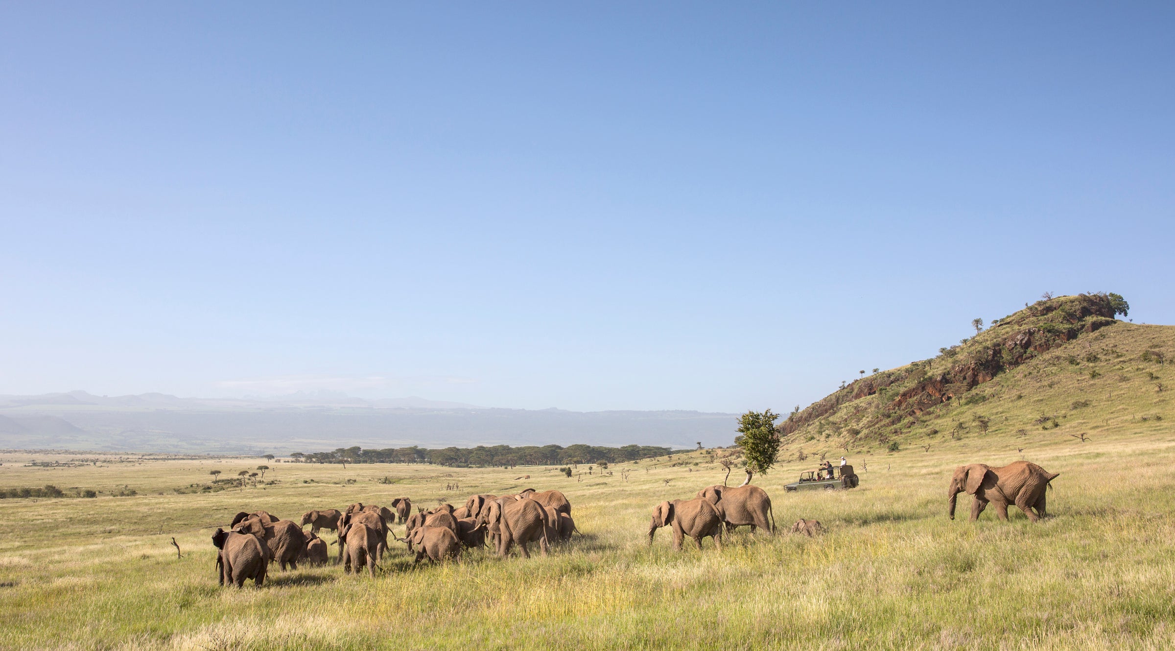 Sirikoi Lodge Kenya  — Game Drives and Guided Walks