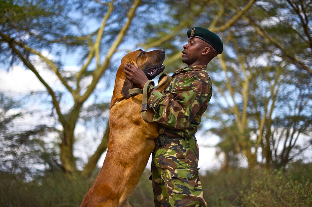 Sirikoi Lodge Kenya  — Conservation in Action