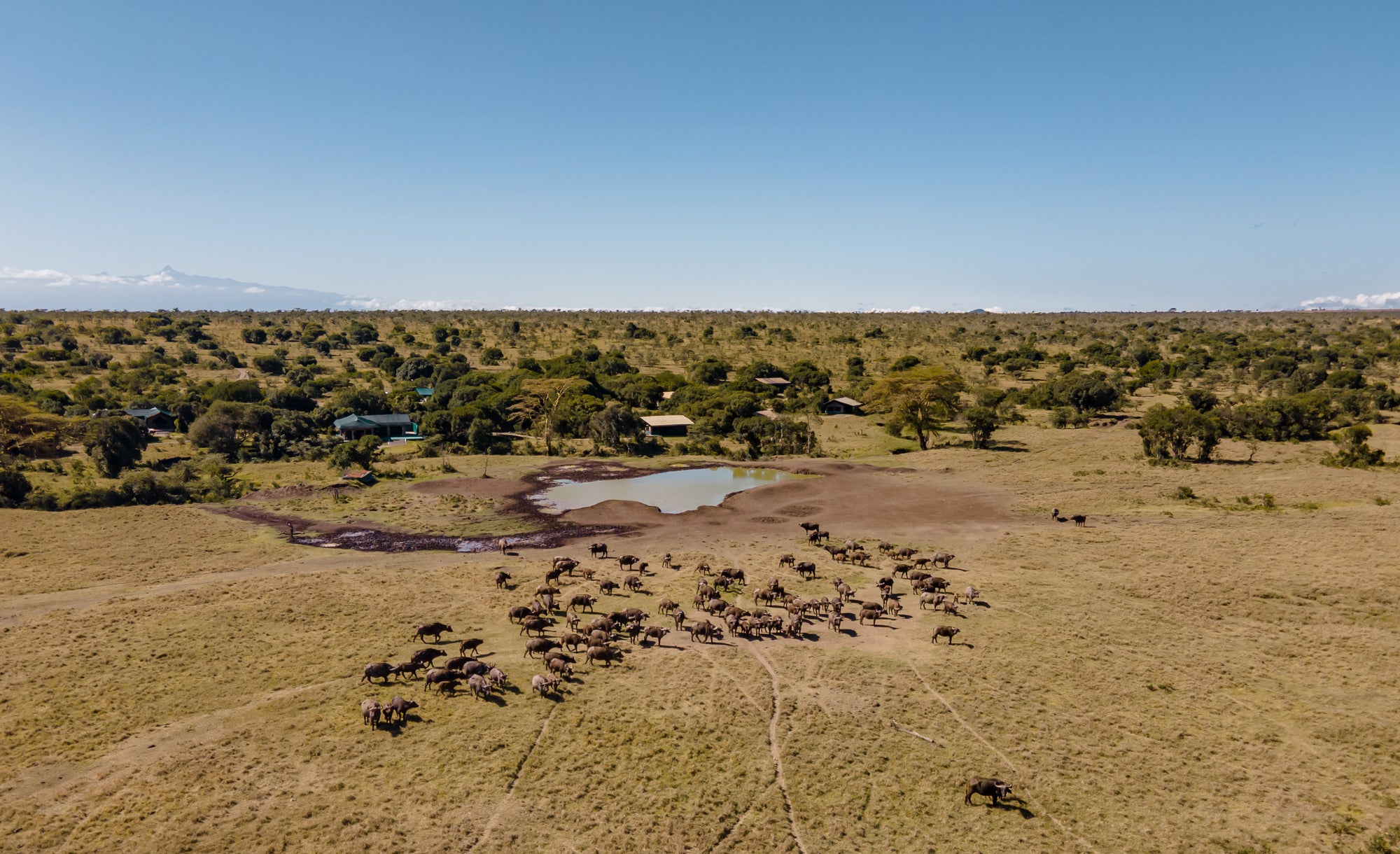 Porini Rhino Camp