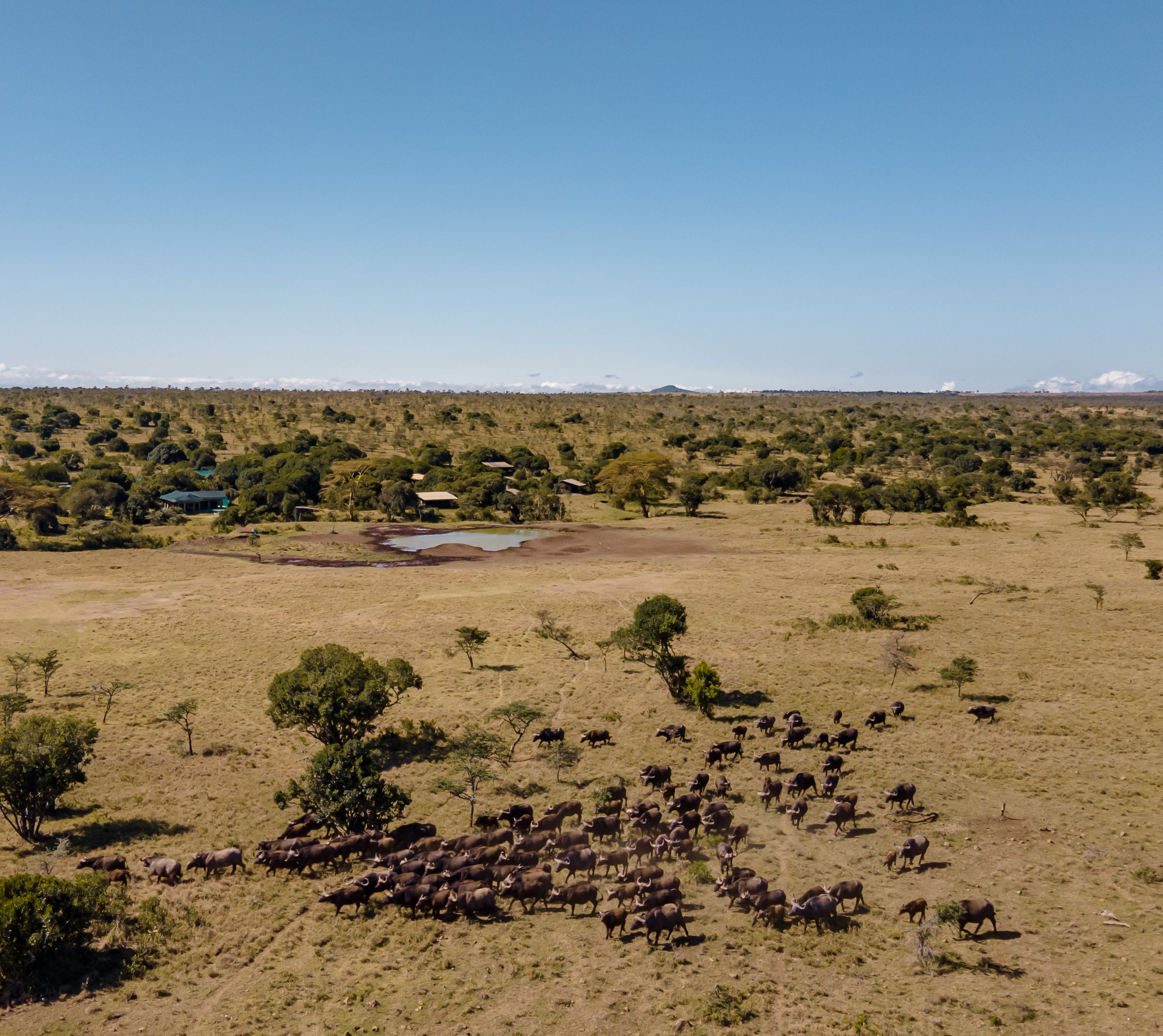 Porini Rhino Camp
