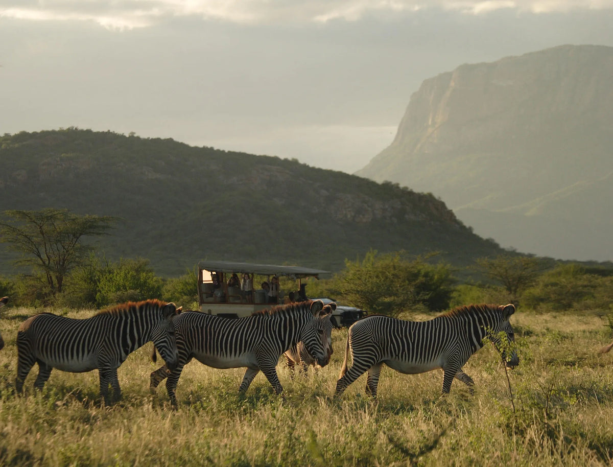 Saruni Samburu at Saruni Samburu, Kalama Conservancy, Kenya.