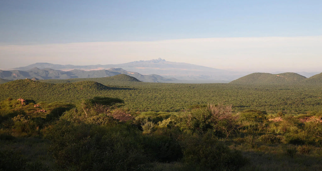 Saruni Samburu at Saruni Samburu, Kalama Conservancy, Kenya.