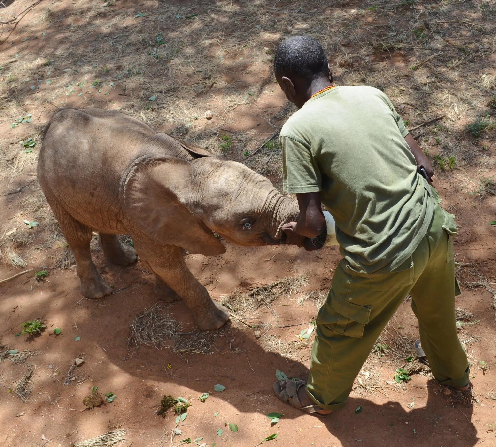 Reteti Elephant Sanctuary