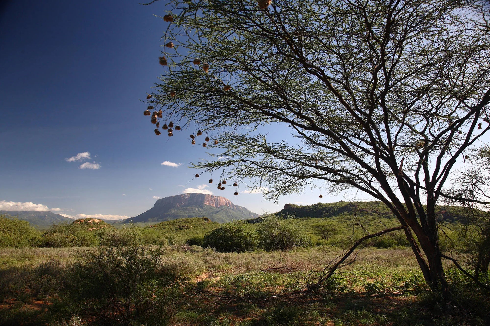 Saruni Samburu at Saruni Samburu, Kalama Conservancy, Kenya.
