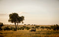 Game Drives