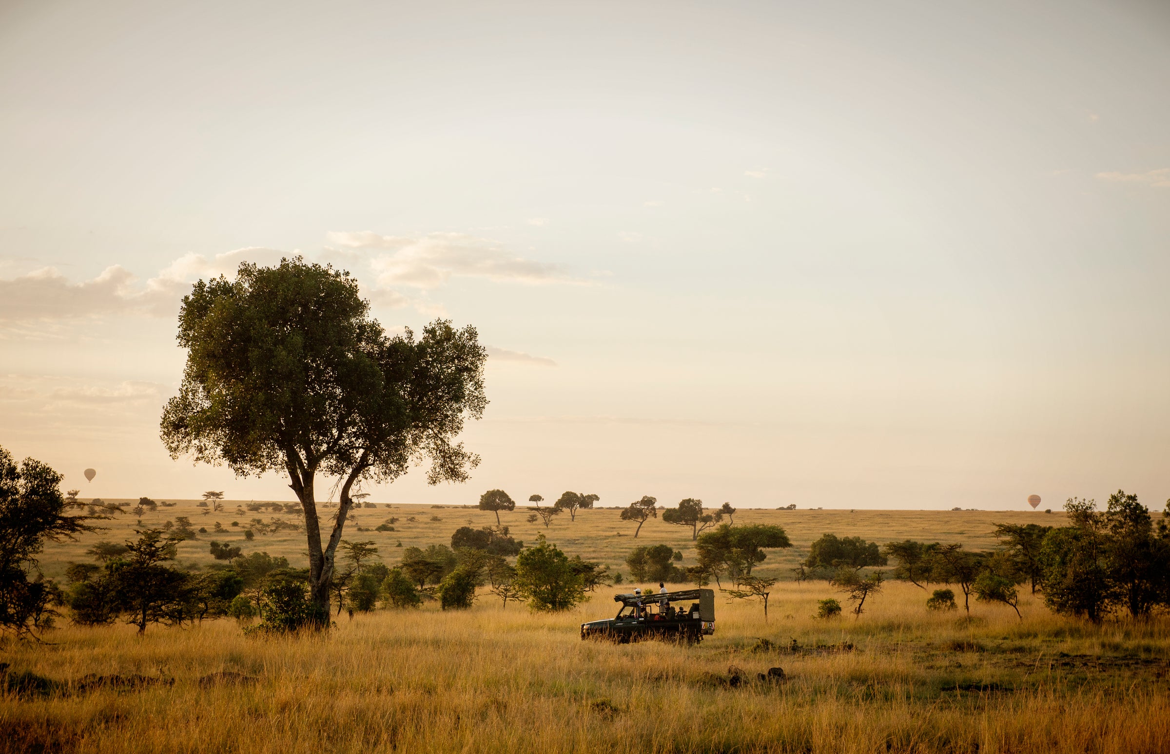 Game Drives