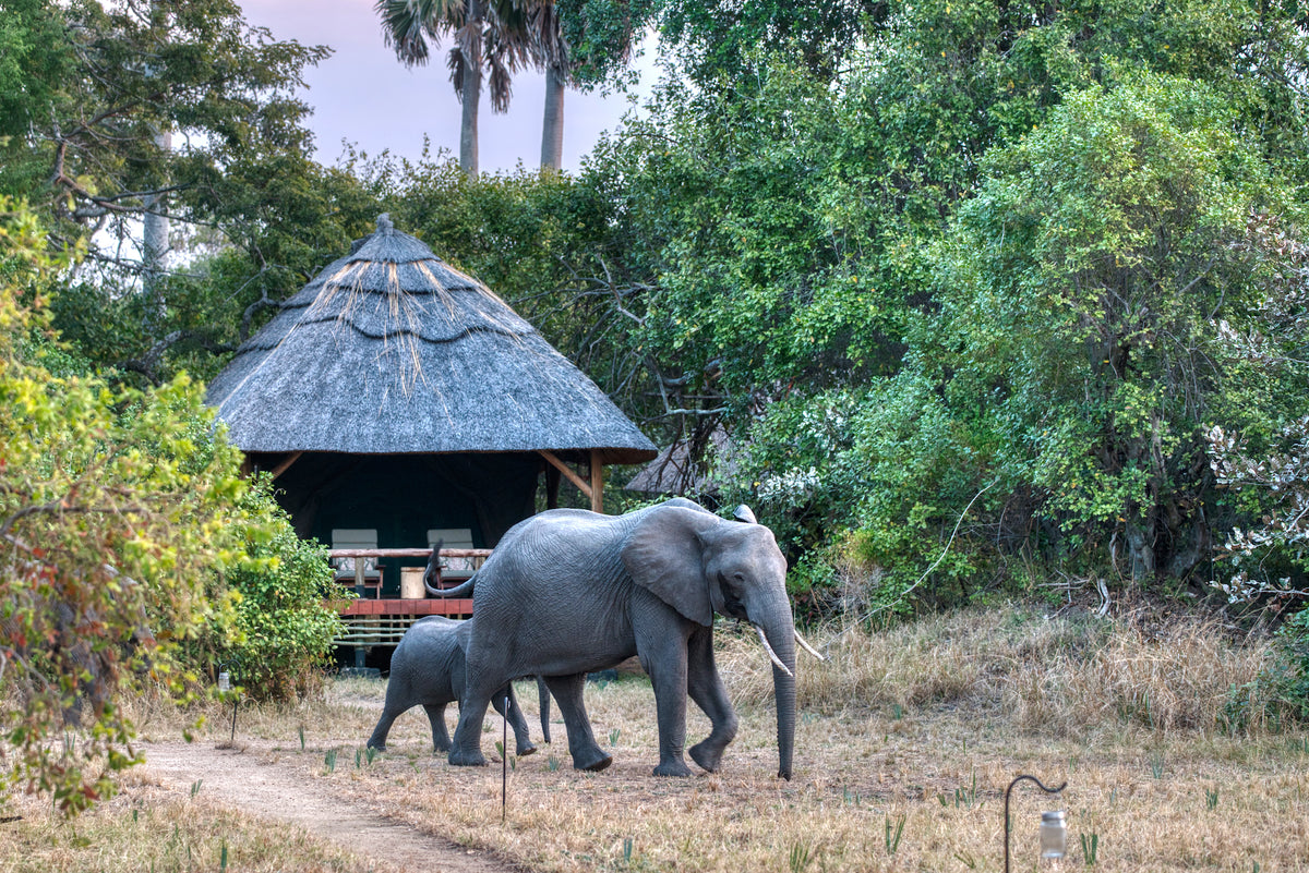 Mbali Mbali Katavi