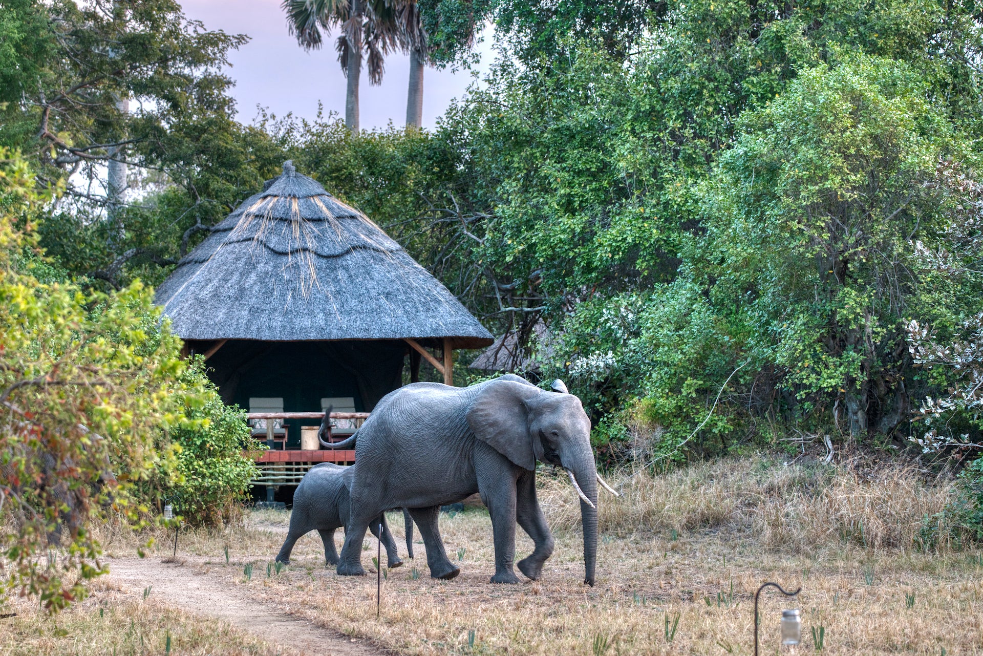 Mbali Mbali Katavi