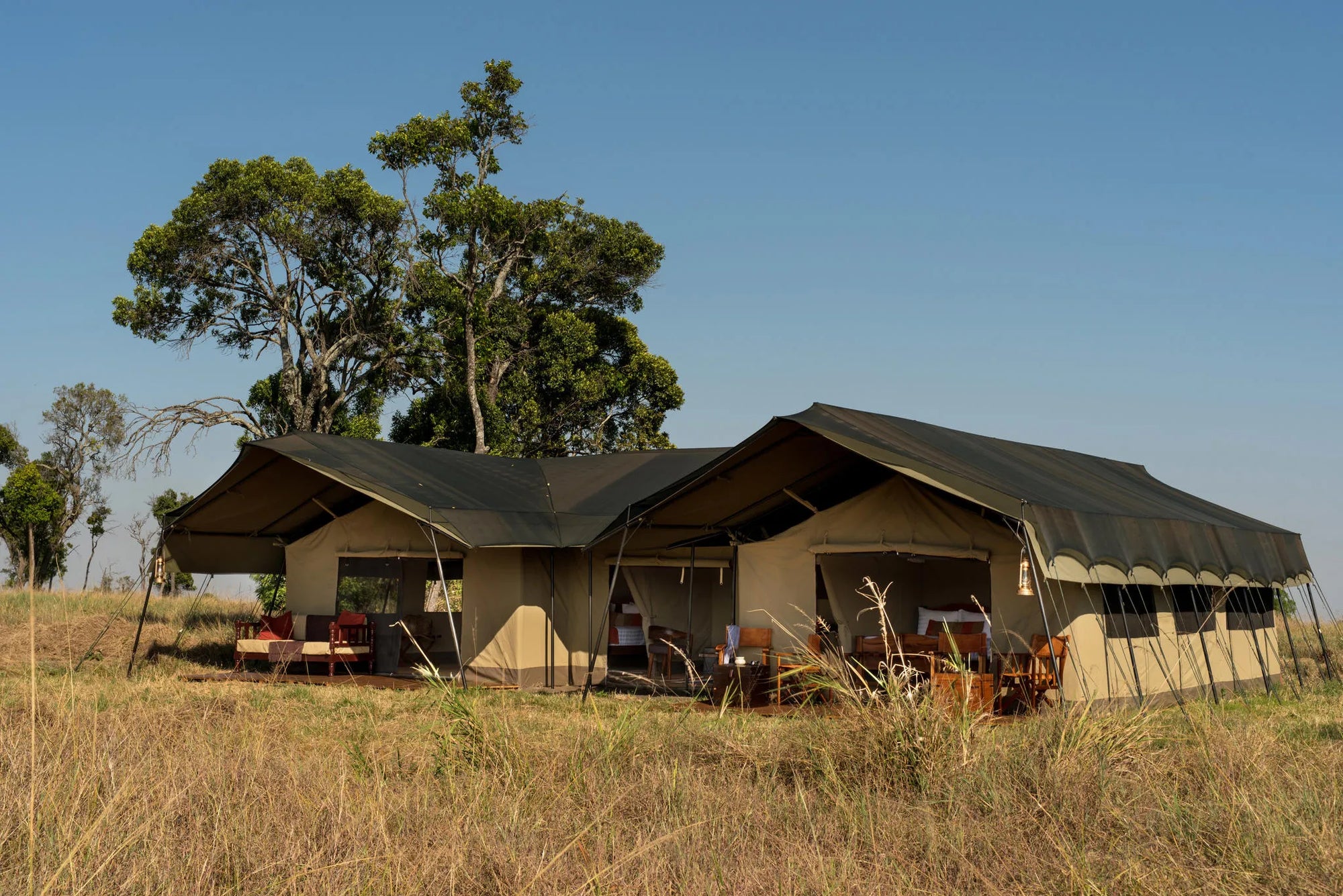 Lemala Ndutu Mobile Tented Camp at Lemala Ndutu Mobile Tented Camp, Ndutu, Tanzania.