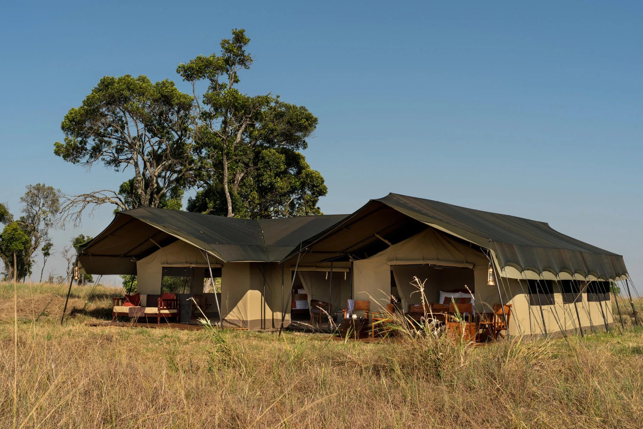 Lemala Ndutu Mobile Tented Camp at Lemala Ndutu Mobile Tented Camp, Ndutu, Tanzania.