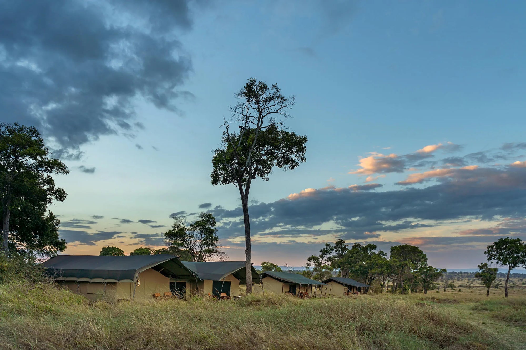 Lemala Ndutu Mobile Tented Camp at Lemala Ndutu Mobile Tented Camp, Ndutu, Tanzania.