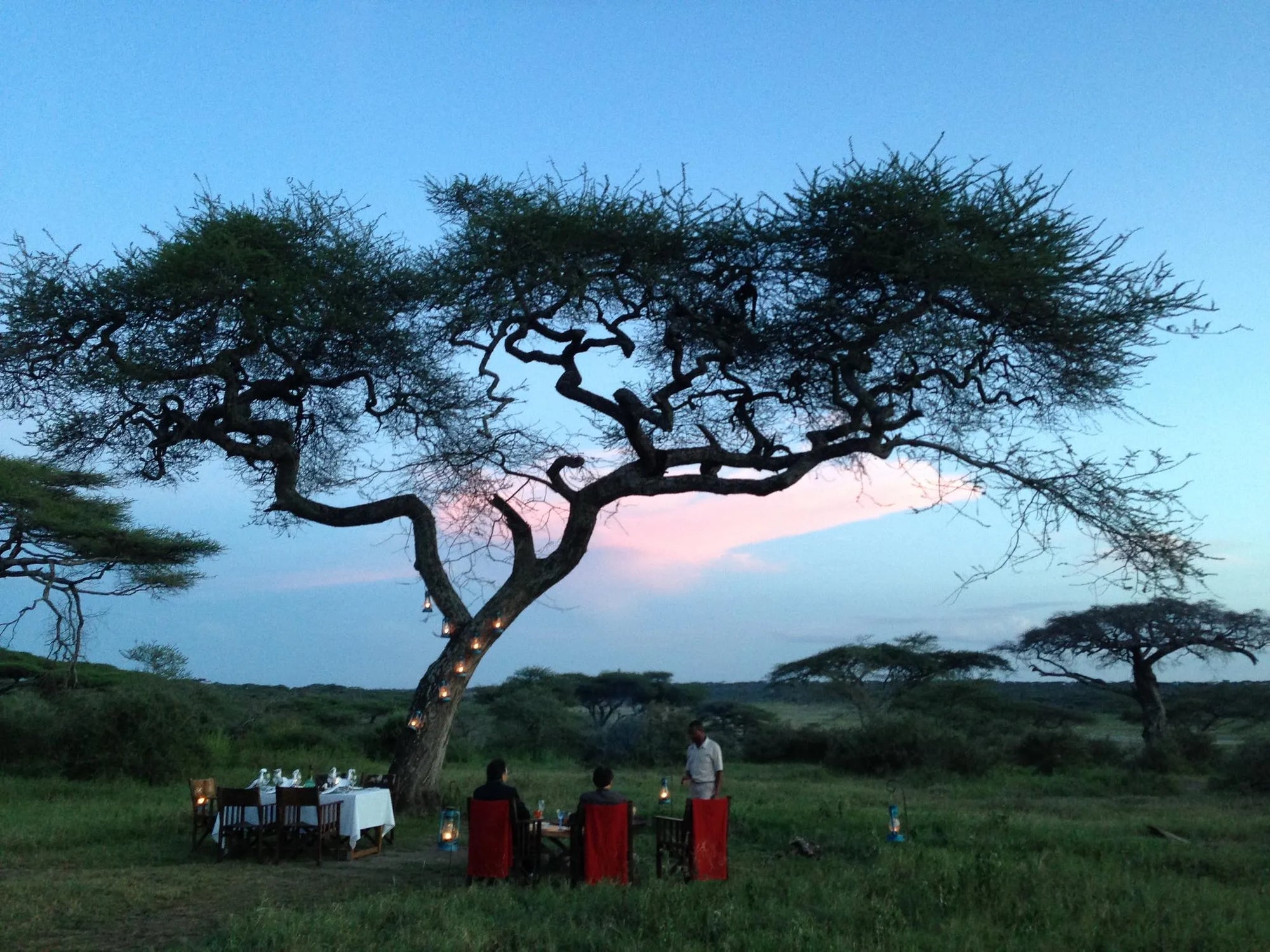 Lemala Ndutu Mobile Tented Camp at Lemala Ndutu Mobile Tented Camp, Ndutu, Tanzania.